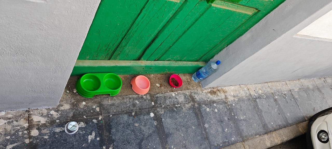 Zona de alimento para gatos en la Calle Sol.