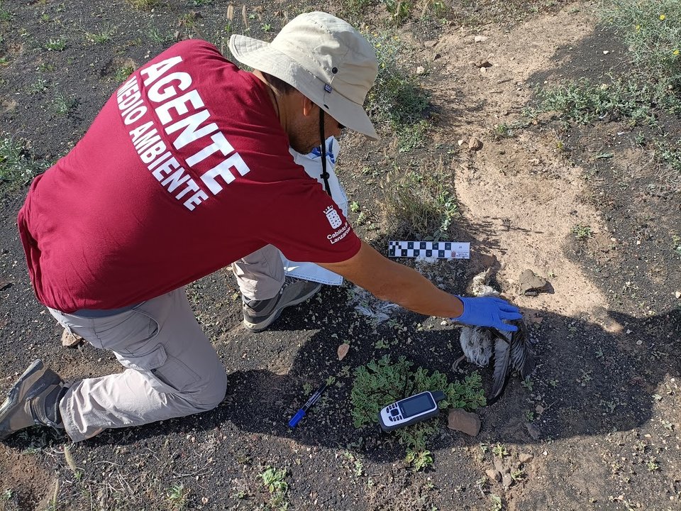 Agentes de Medio Ambiente.