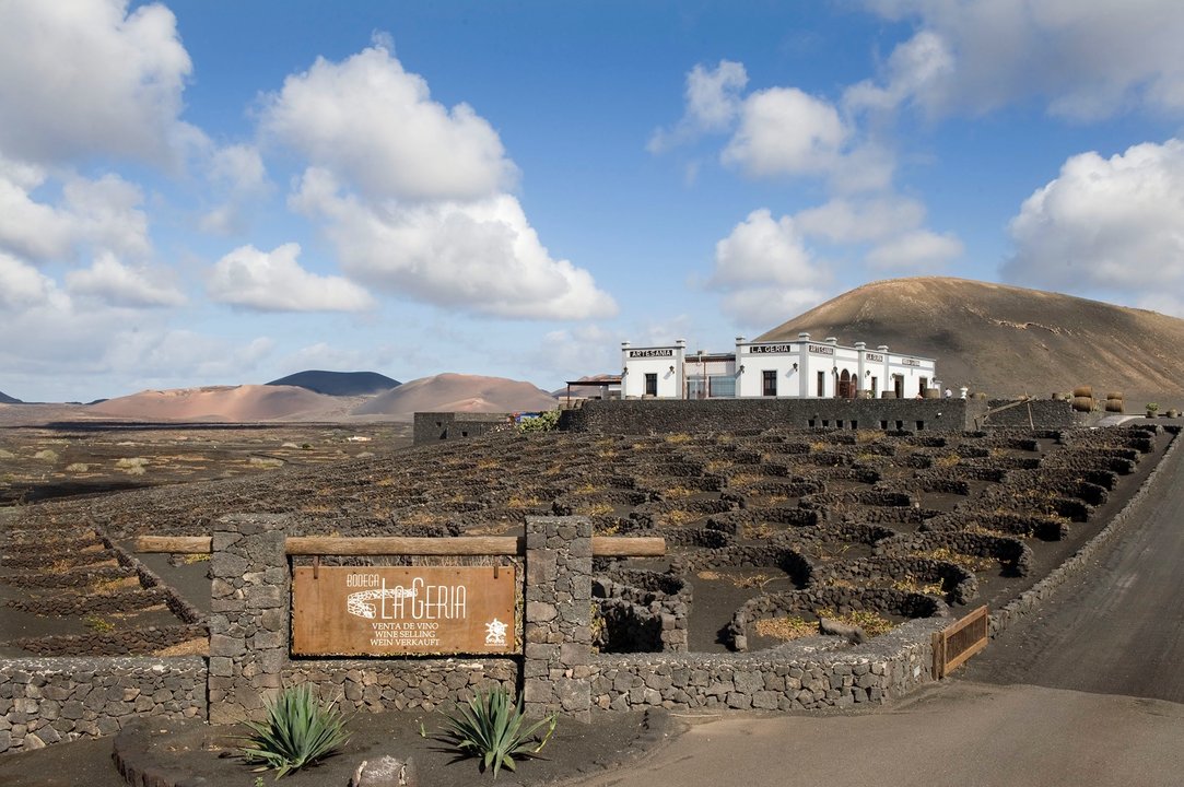 Bodega La Geria.