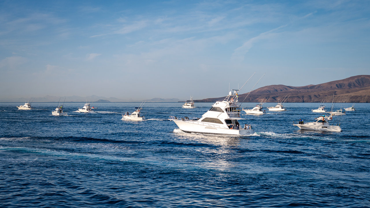 Torneo de Pesca Marlin Cup Puerto Calero 2023.