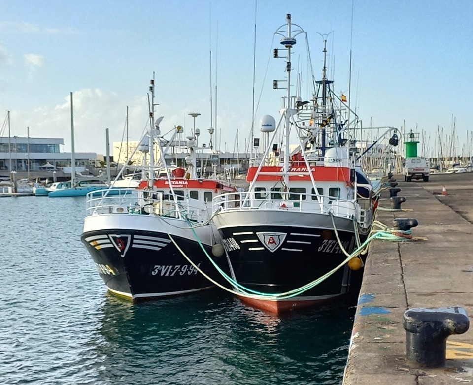Pesca submarina y sostenible: en Lanzarote hay tres zonas permitidas y  reclaman más