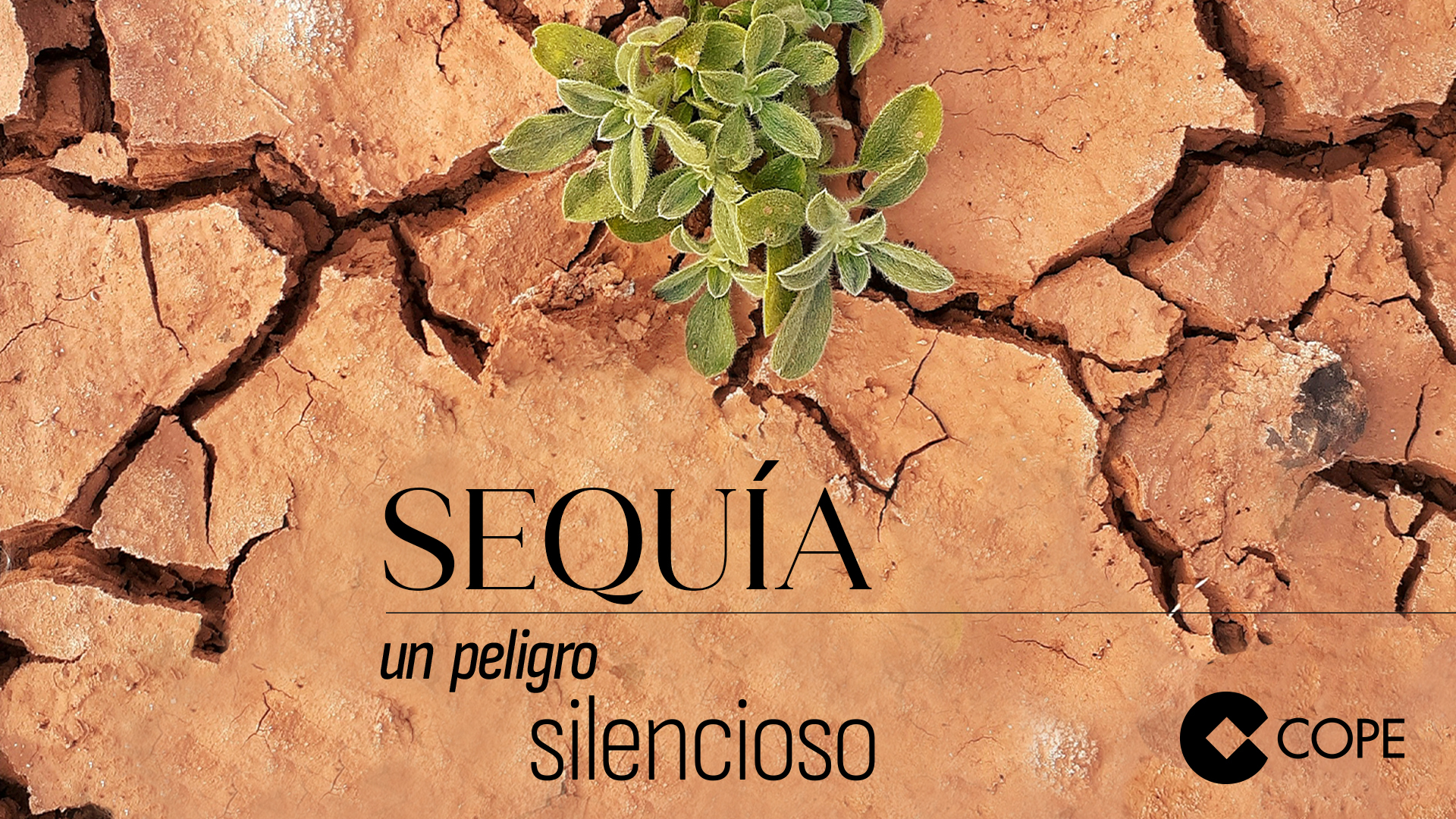 Sequía un peligro silencioso COPE.