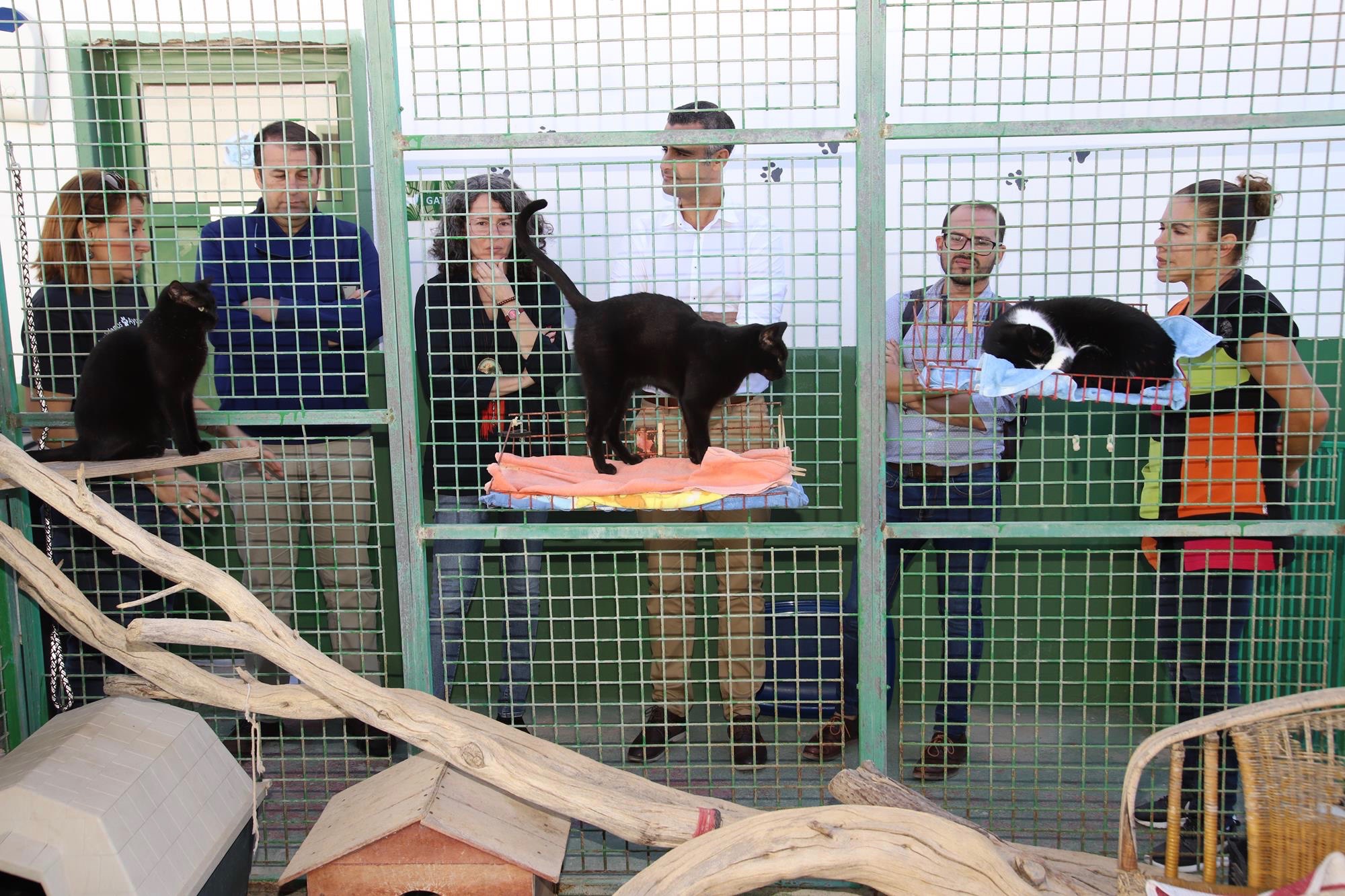 La Protectora Sara Recibe El Donativo De La Feria Si Quiero Lanzarote Biosfera Digital